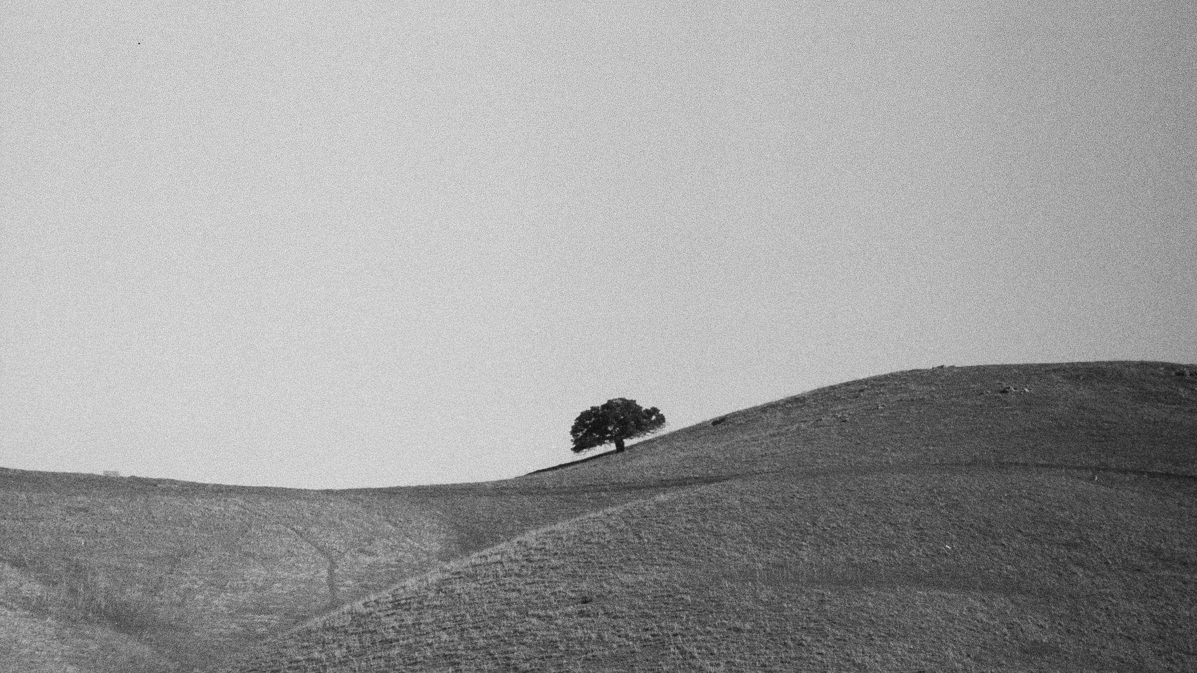 a film photograph of sutro tower in black and white